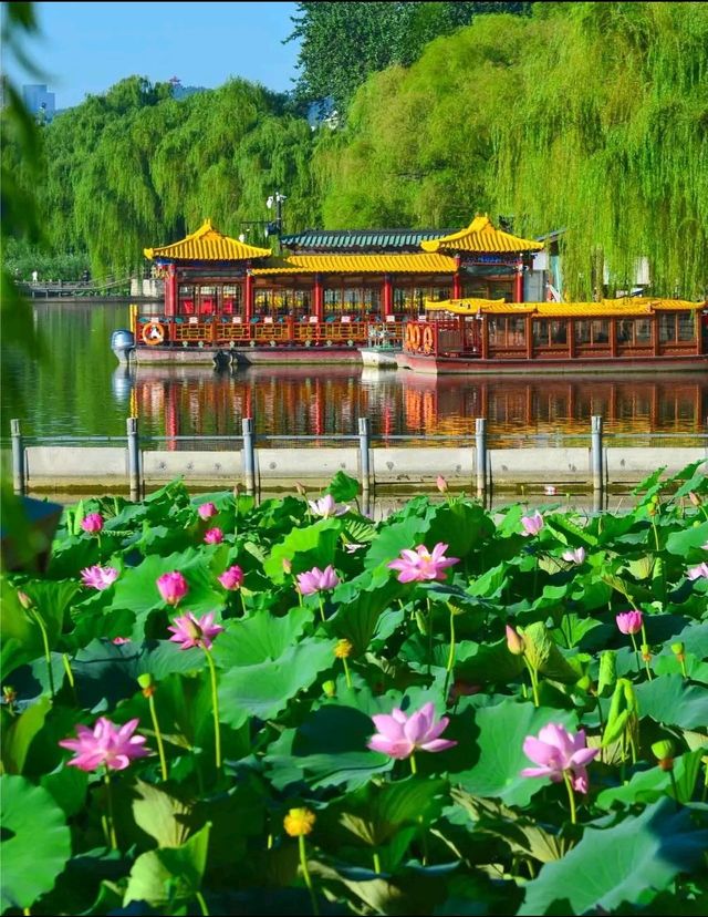 濟南三日遊：探索泉城魅力，暢享歷史人文之旅​
濟南，這座充滿魅力的城市，素有「泉城」的美譽。趵突