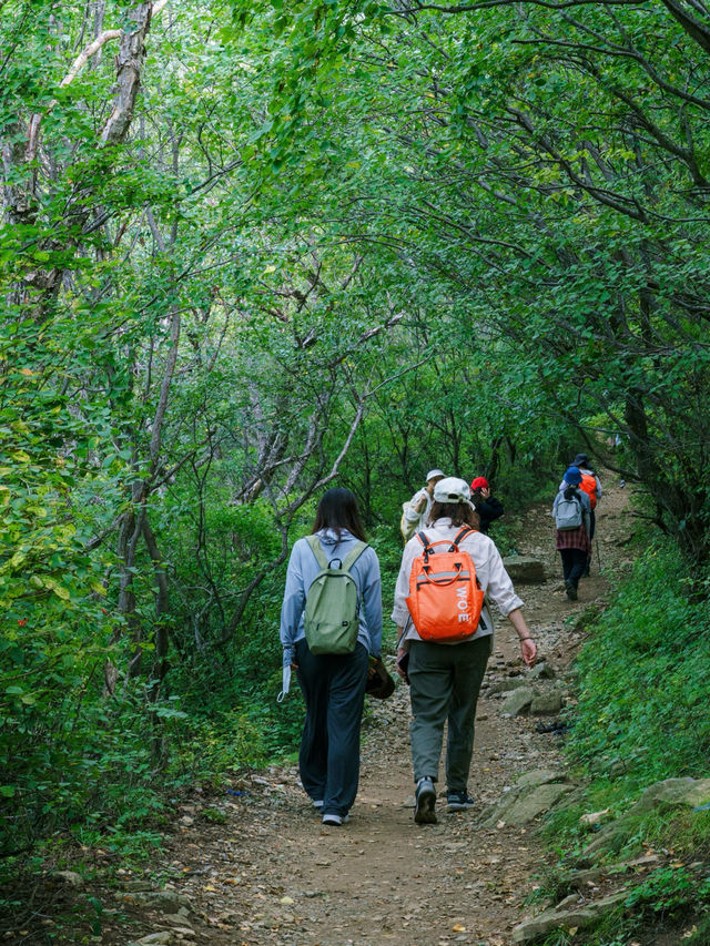 北靈山徒步避暑，這裡嘅夏天只有27度