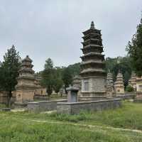 Shaolin Temple!