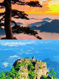 世道滄桑 我有何不敢上仙山