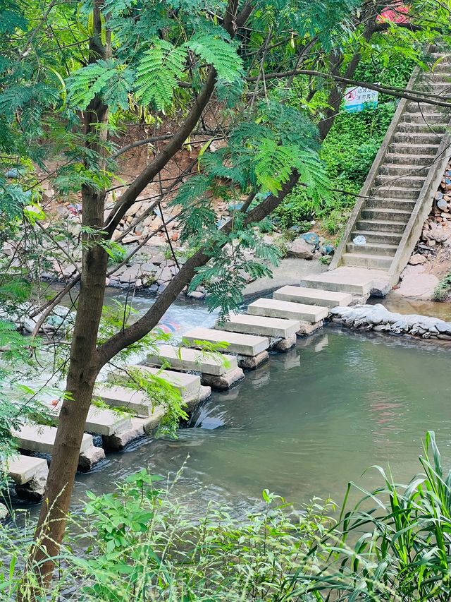 藏喺丹竹頭嘅鄉野秘境|釣魚溯溪，避暑玩水