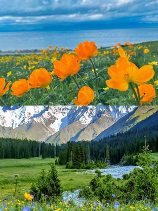 July to August, encounter the dreamlike realm of Northern Xinjiang