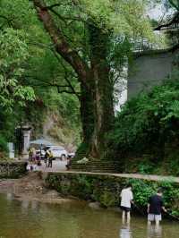 750年徽派暴擊！芹川古村嘅石斑魚銀河，全家玩到腳軟
