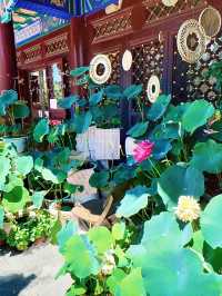 瀋陽東塔一日遊|解鎖歷史與愜意