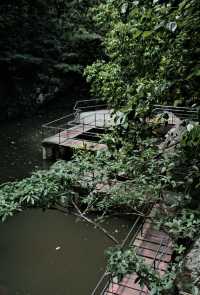 福州森林公園全攻略