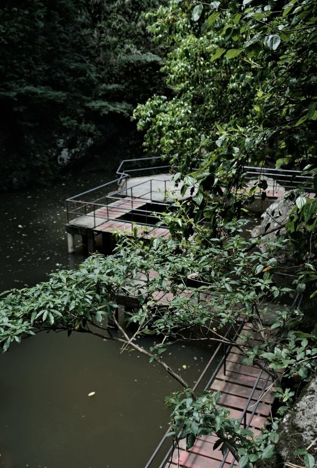 福州森林公園全攻略