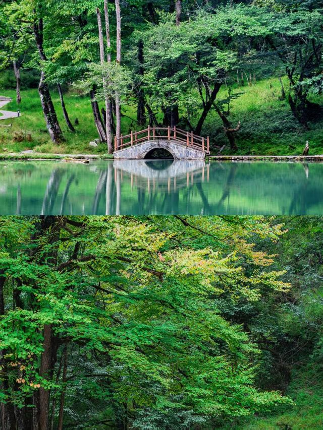 週末48小時,從成都逃進23℃的山裡! 週末48小時,從成都逃進23℃的山裡!