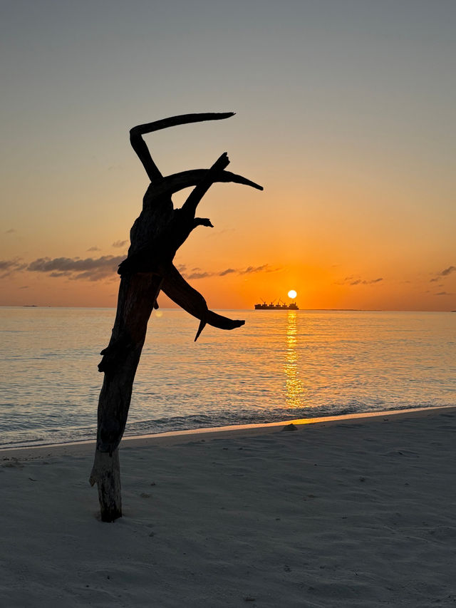 Heavenly Island Retreat with Stellar Service