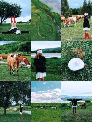 Who hasn’t been to the underrated hidden gem grasslands around Beijing?