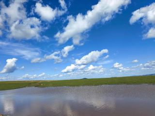 คู่มือเที่ยวทุ่งหญ้าครอบครัว