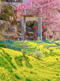 婺源篁嶺3天2夜保姆級攻略｜半山腰藏了整個秋天的童話