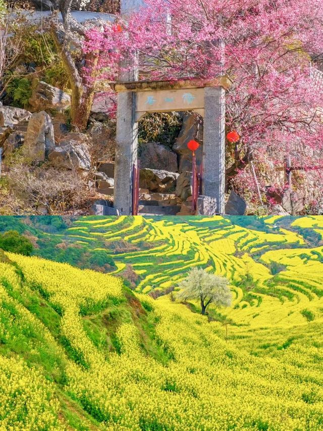 婺源篁嶺3天2夜保姆級攻略｜半山腰藏了整個秋天的童話
