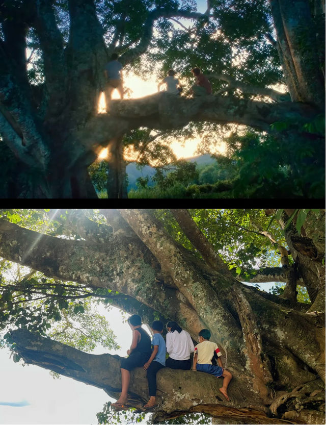 3大影視劇取景地還原劇情，煙火氣拉滿