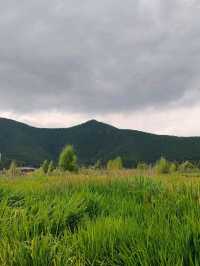 The "Grass Sea" by Luguhu Lake​