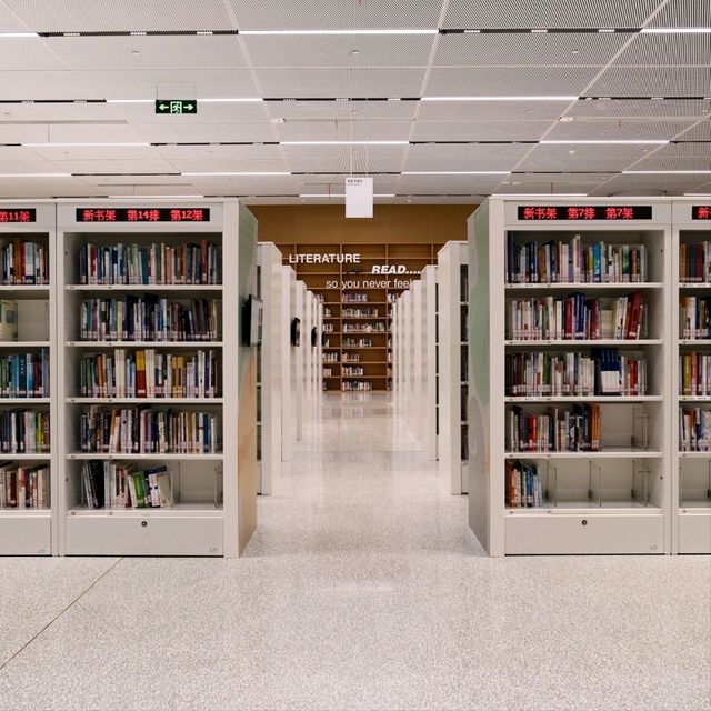 Quick Visit to Shanghai Library, Shanghai 📚✨
