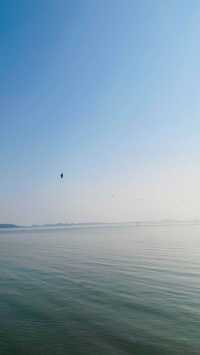 夕陽下與海鷗共舞