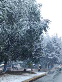 冰雪童話哈爾濱，第一場雪！