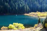 漫步哈薩克斯坦｜被這片絕美森林湖泊治癒了