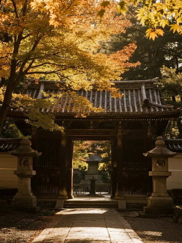 Nara Two-Day Journal｜Collecting the Secret Whispers of the Heian Era Amidst Deer Shadows and Autumn Light