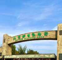 北京野生動物園超全攻略