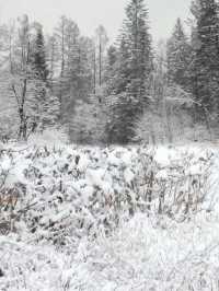 11月底長白山最美雪景攻略冰雪王國等你來打卡！