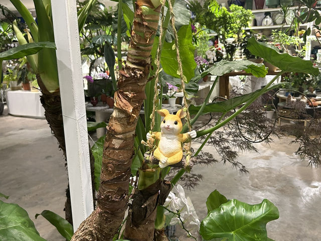 🌿 深圳花卉市場｜與植物來場浪漫的近距離約會 🌸