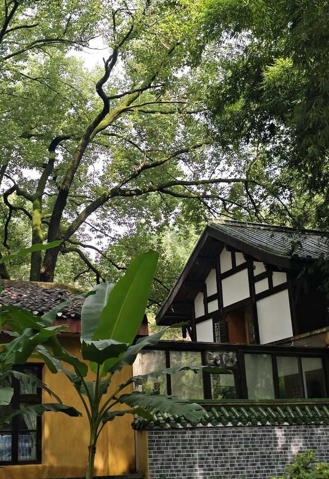 歡迎來鵝嶺公園遊玩打卡