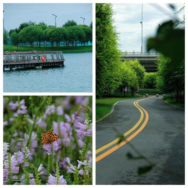 正定中心湖公園，石家莊親子遛娃的寶藏地