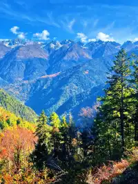 10月賞秋米亞羅彩林徒步一日遊快衝