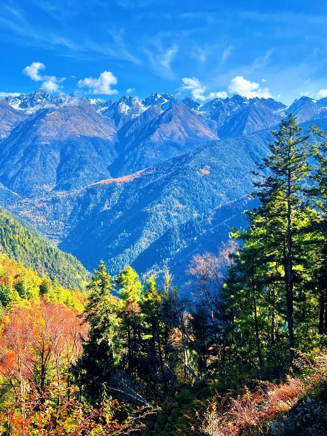 10月賞秋米亞羅彩林徒步一日遊快衝