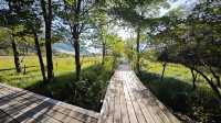 箱根濕生花園 —— 低調、但不可錯過的地方