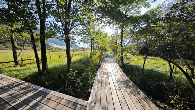 箱根濕生花園 —— 低調、但不可錯過的地方