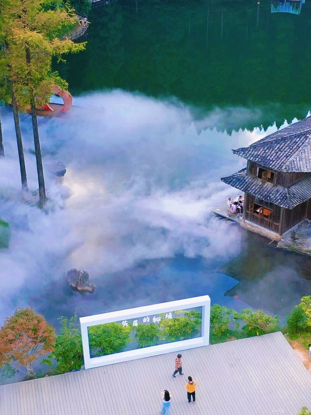 溫州秘境文成銅鈴山雲霧裹著森林氛圍感