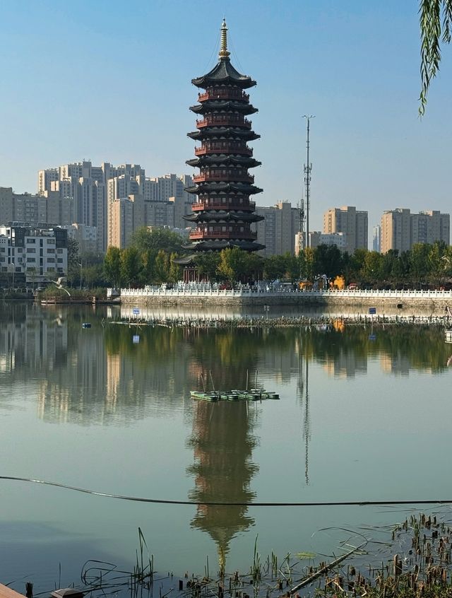 菏澤旅遊攻略｜牡丹之都的絕美花海與千年故事