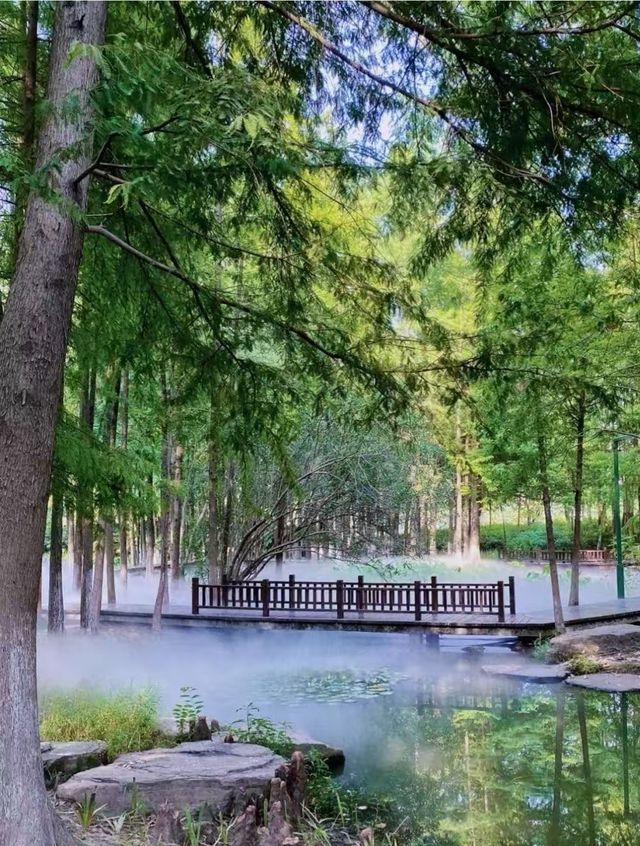 寧波的一個公園，我經常去真喜歡—日湖公園