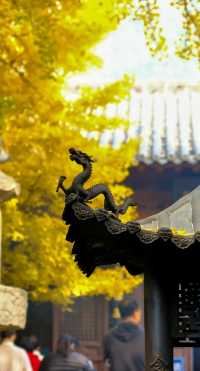 山東——深度遊古寺攻略