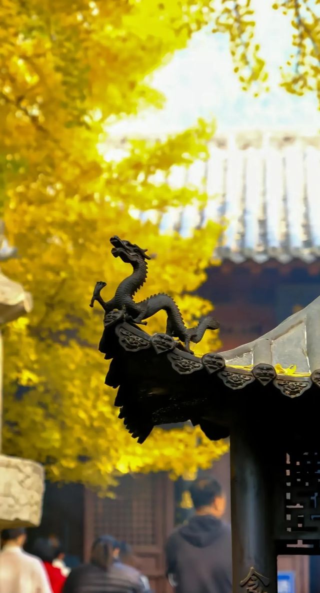 山東——深度遊古寺攻略 山東——深度遊古寺攻略