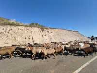 Amazing Journey with John in Central Asia