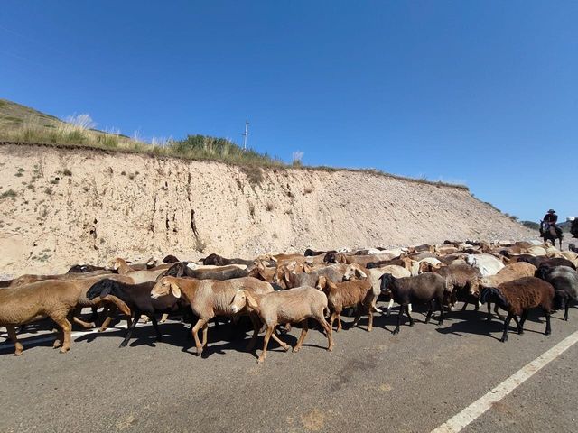 Amazing Journey with John in Central Asia Amazing Journey with John in Central Asia