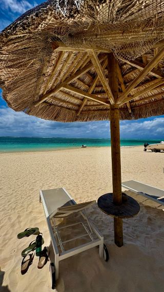 환상적인 해변가 호텔, 수영장과 친절한 직원들