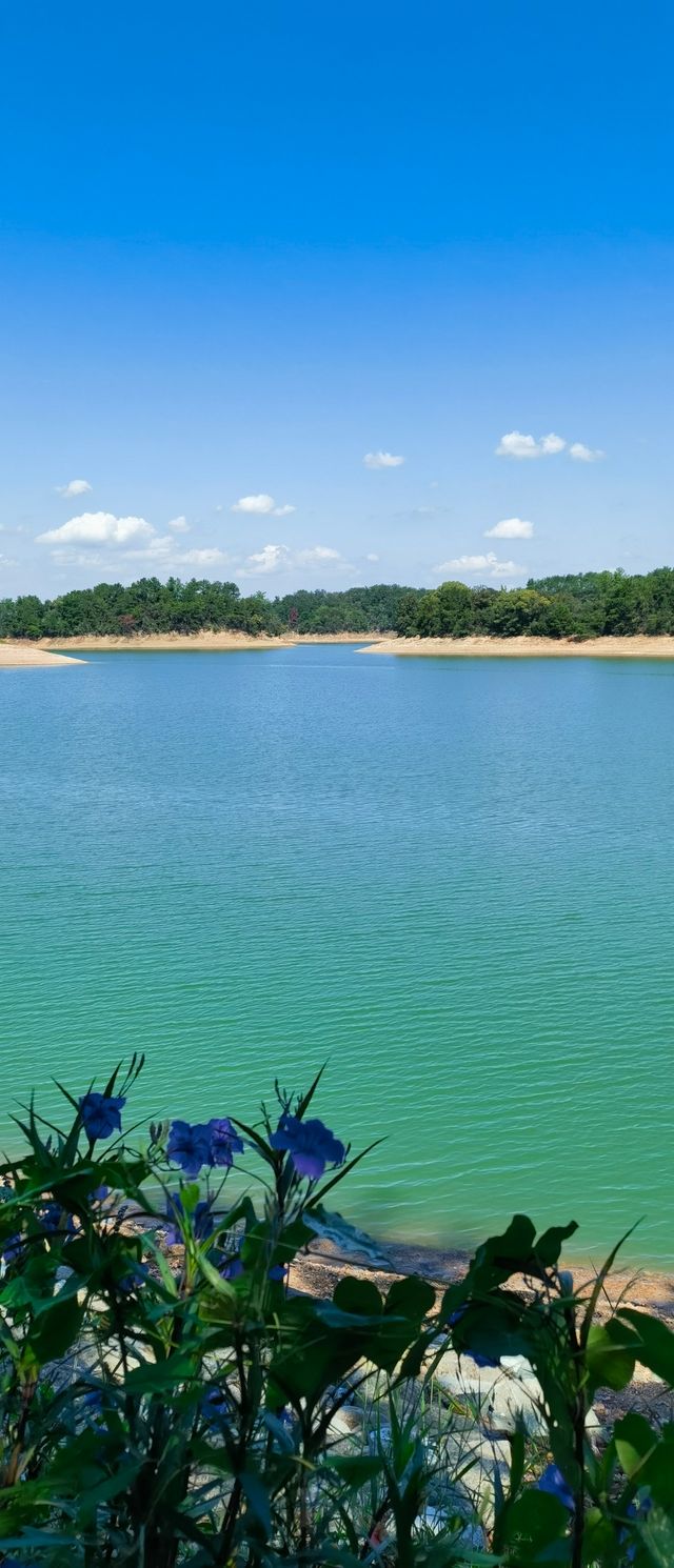 單純看風景,廬山西海還是不錯的 單純看風景,廬山西海還是不錯的