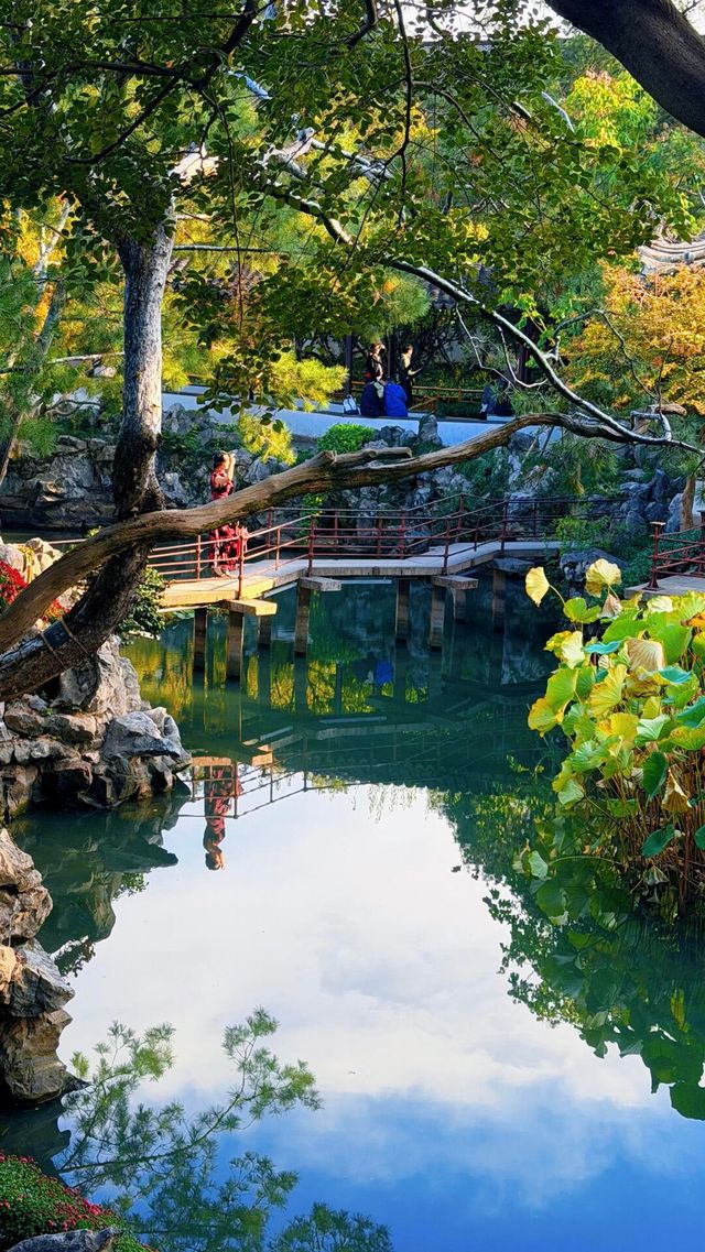 蘇州的秋天|在怡園的桂花香裡,撞見江南最溫柔的時刻 蘇州的秋天|在怡園的桂花香裡,撞見江南最溫柔的時刻