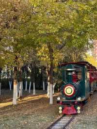 天津南翠屏｜秋日限定！層林盡染美到窒息