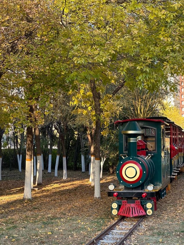 天津南翠屏｜秋日限定！層林盡染美到窒息