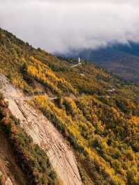 秋色限定牛背山私藏小團，2-8人暢玩雲端仙境！
