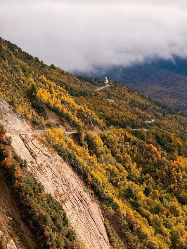 秋色限定牛背山私藏小團，2-8人暢玩雲端仙境！