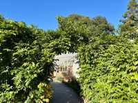 Exploring Fulham Palace