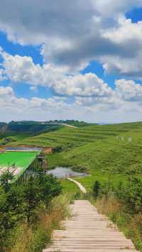 天水張家川平安草園：一場心靈與自然的完美邂逅