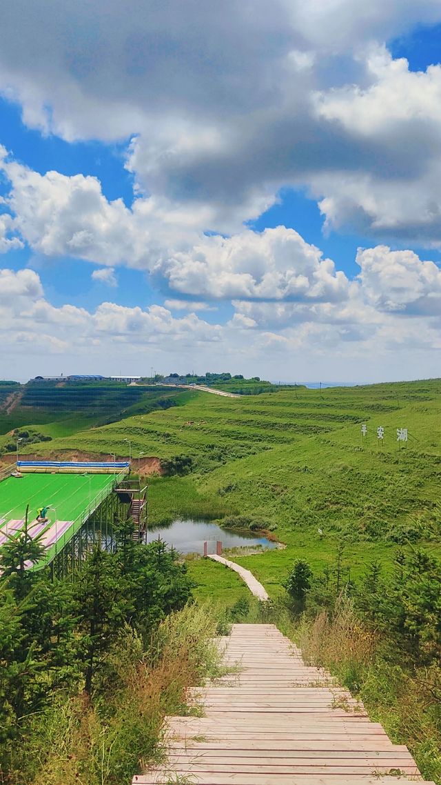 天水張家川平安草園：一場心靈與自然的完美邂逅