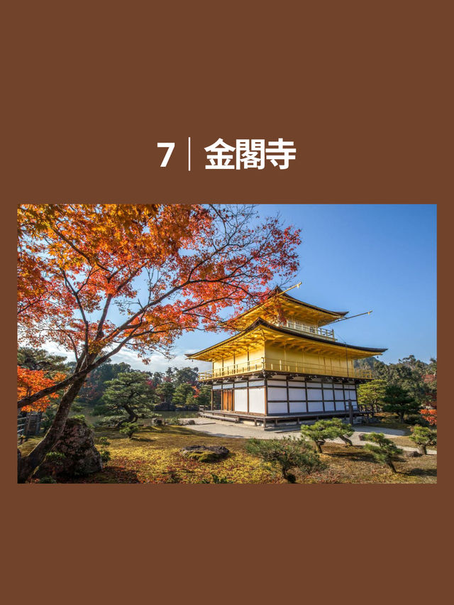 🍂2025-2026 全球賞秋景點 TOP10